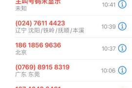 新洲新洲讨债公司服务